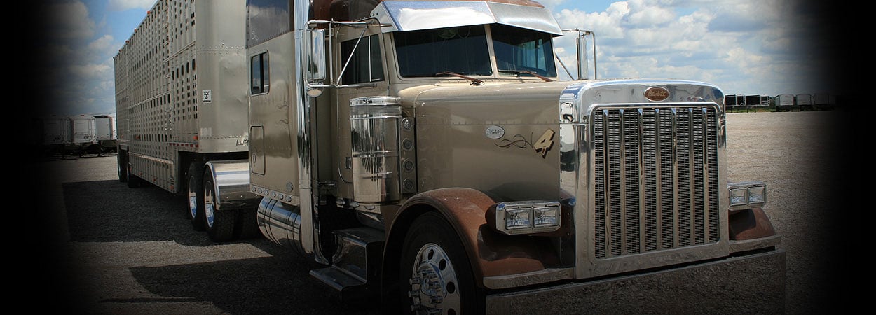 Financing & Trailer rentals available